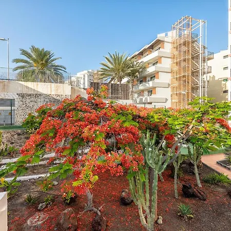 Pulpo Amarillo Playa del Inglés