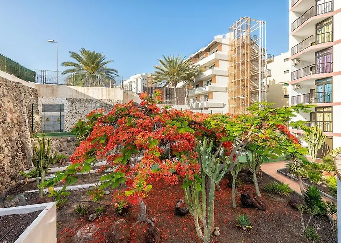 Pulpo Amarillo Playa del Inglés